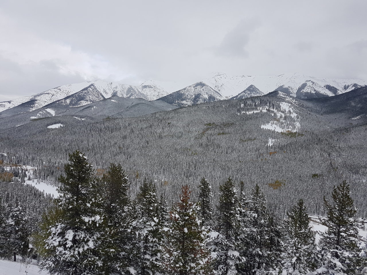 20190930_162108.jpg