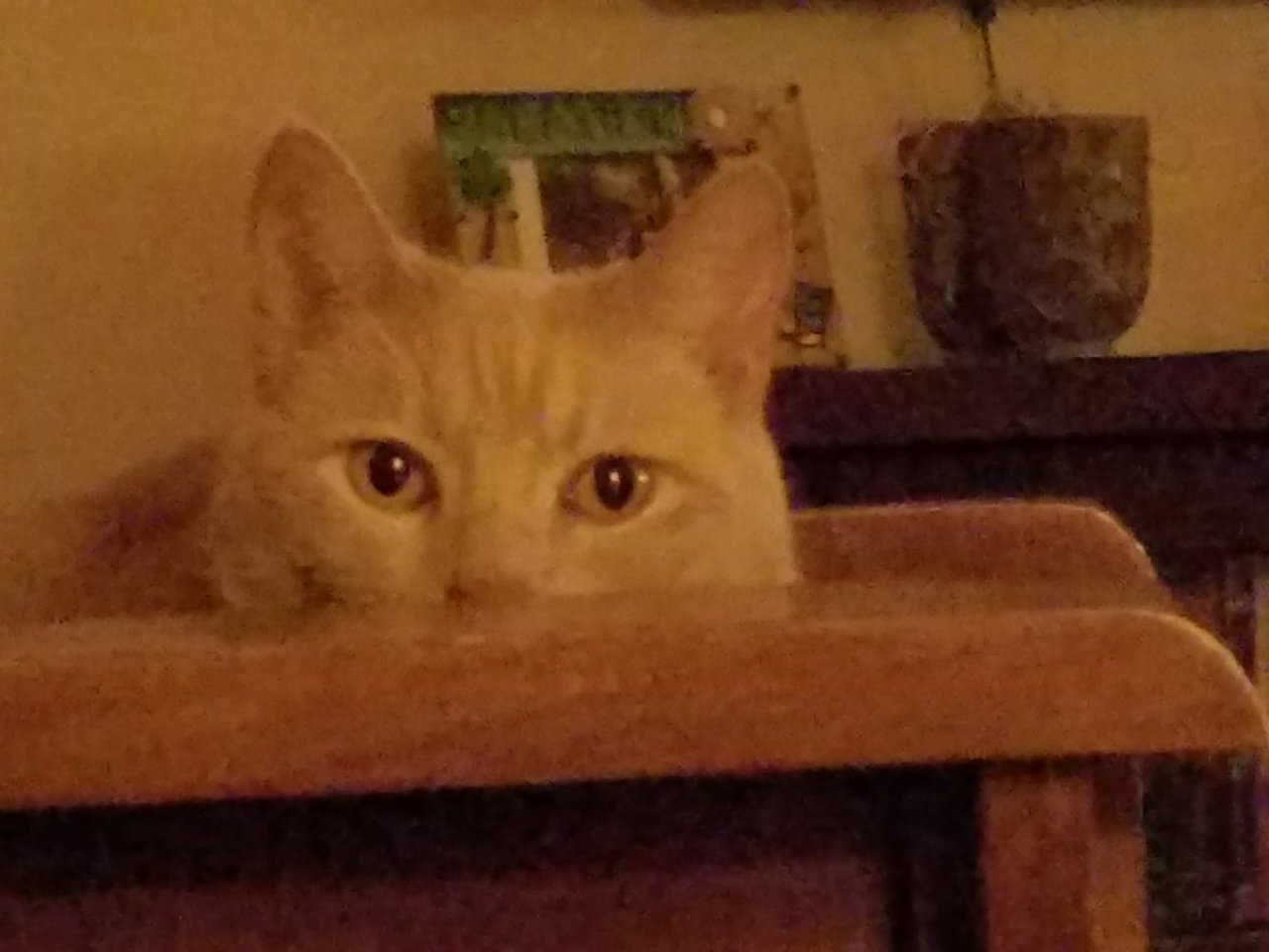 20190930_192209.jpg