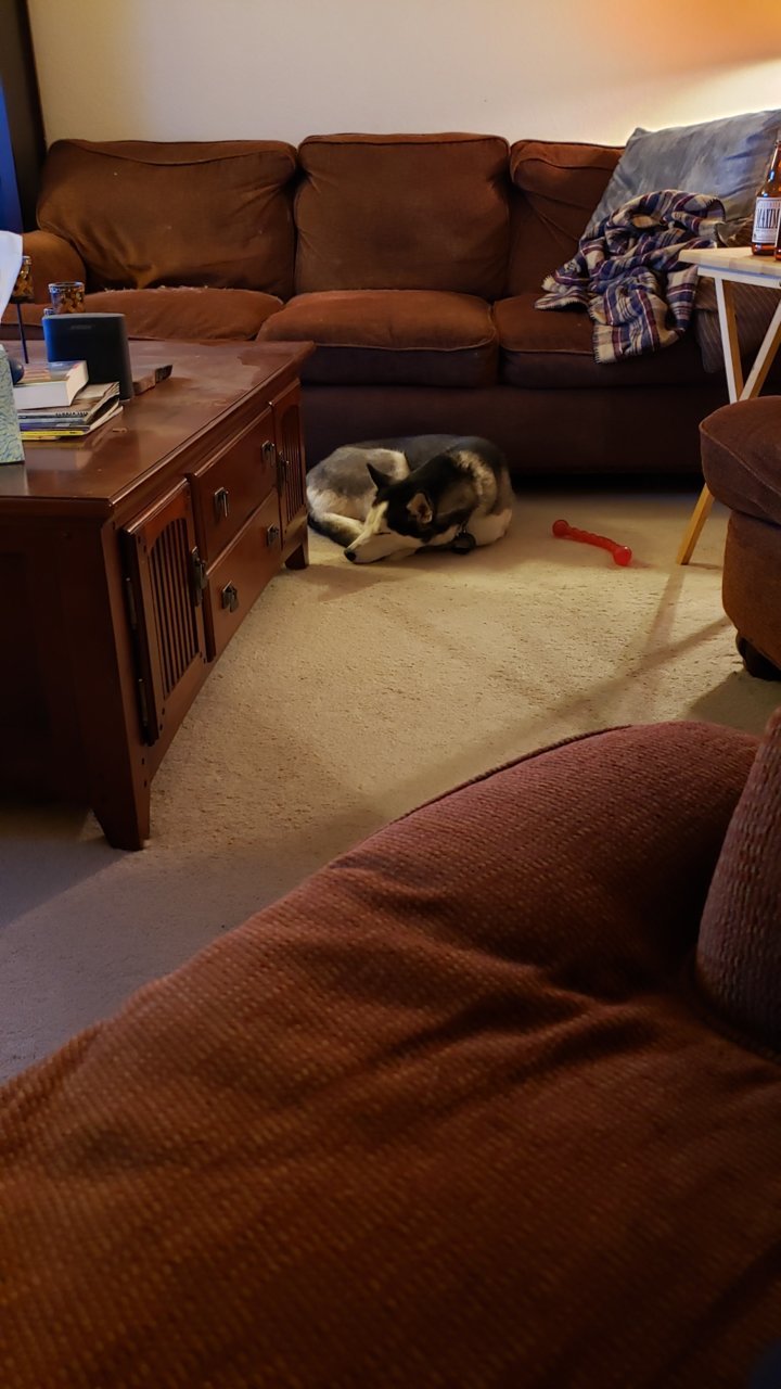 20190930_193848.jpg