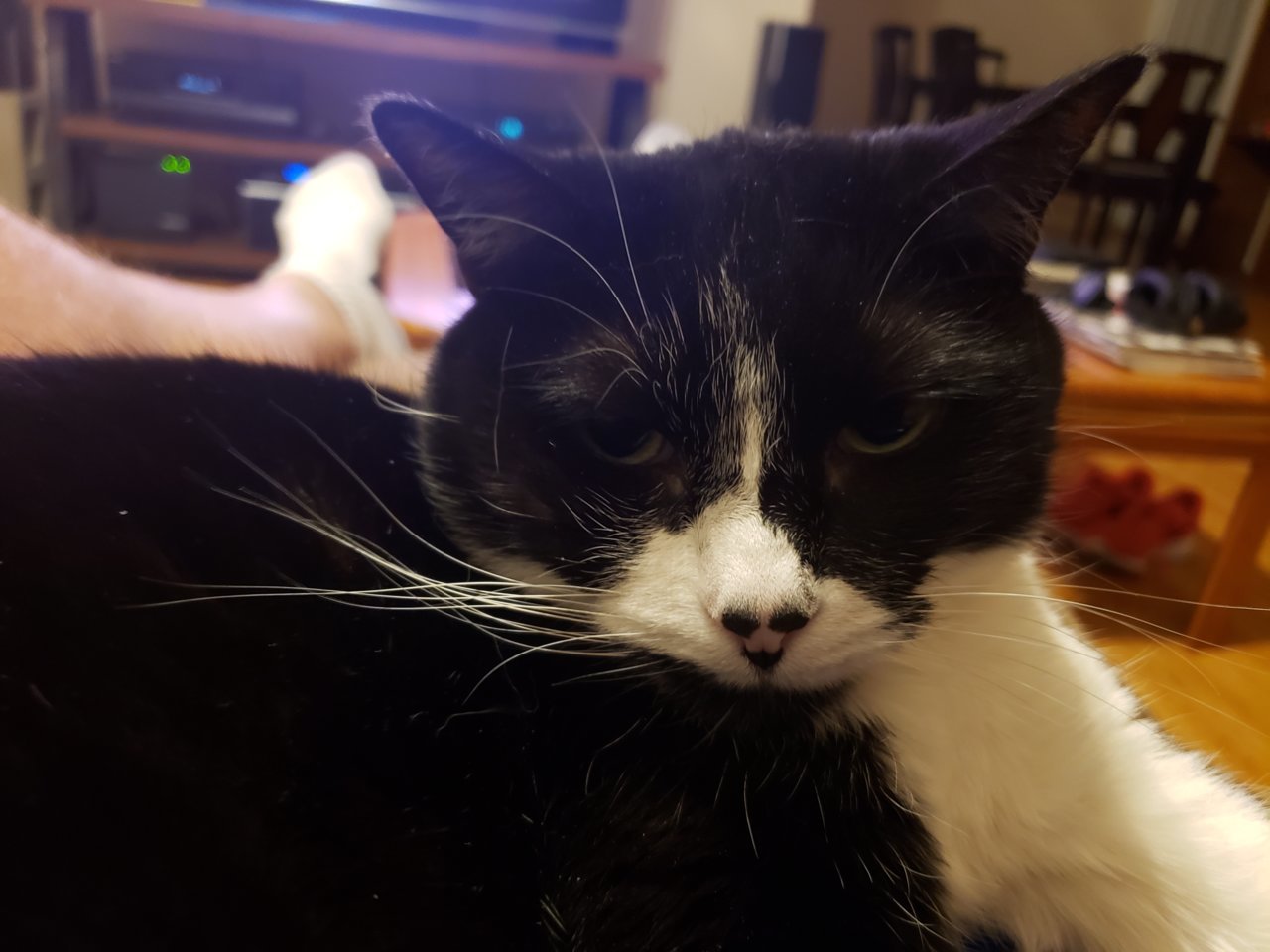 20190930_202909.jpg