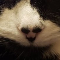 20190930_203701.jpg