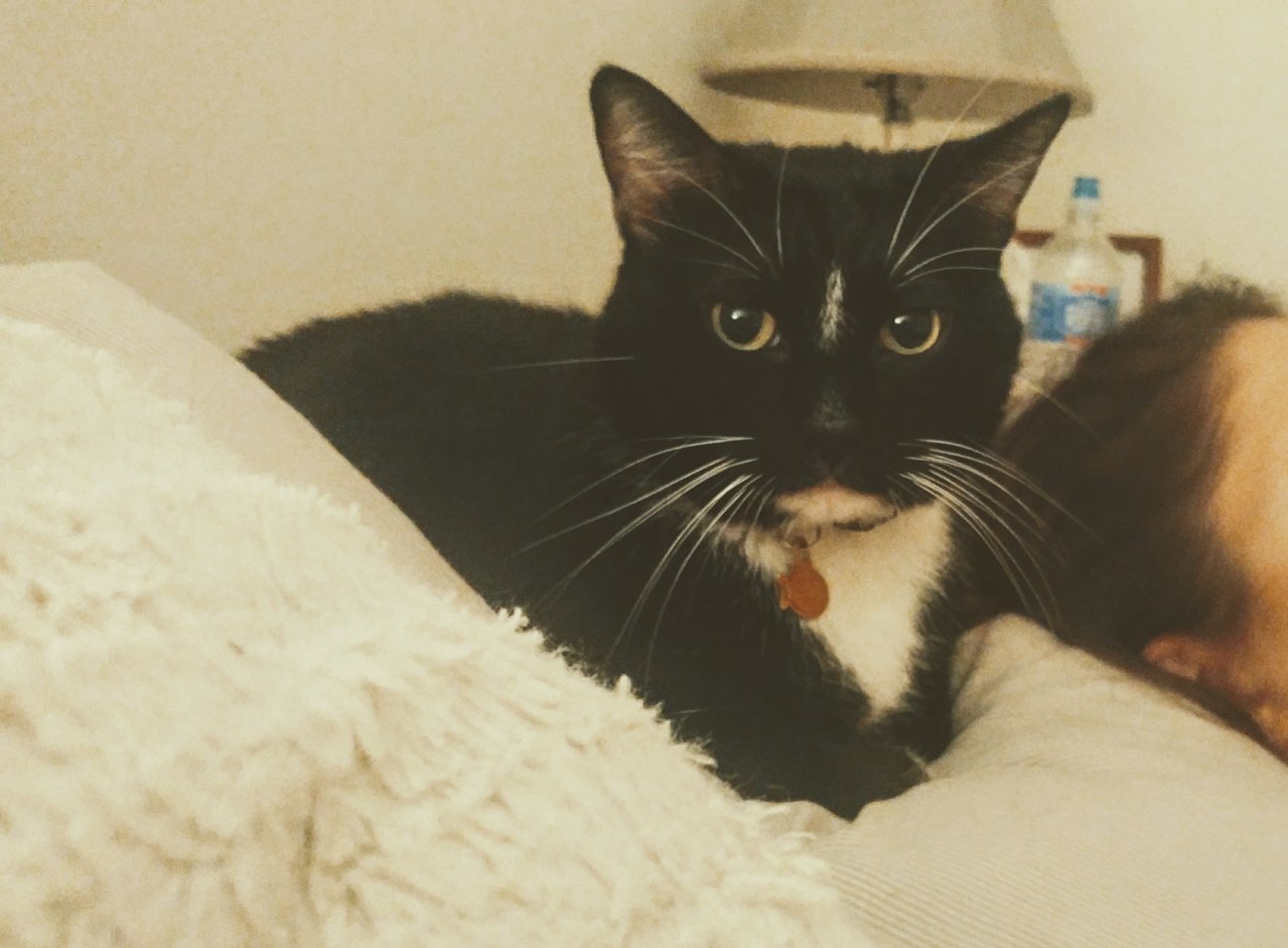 20190930_234645~2.jpg