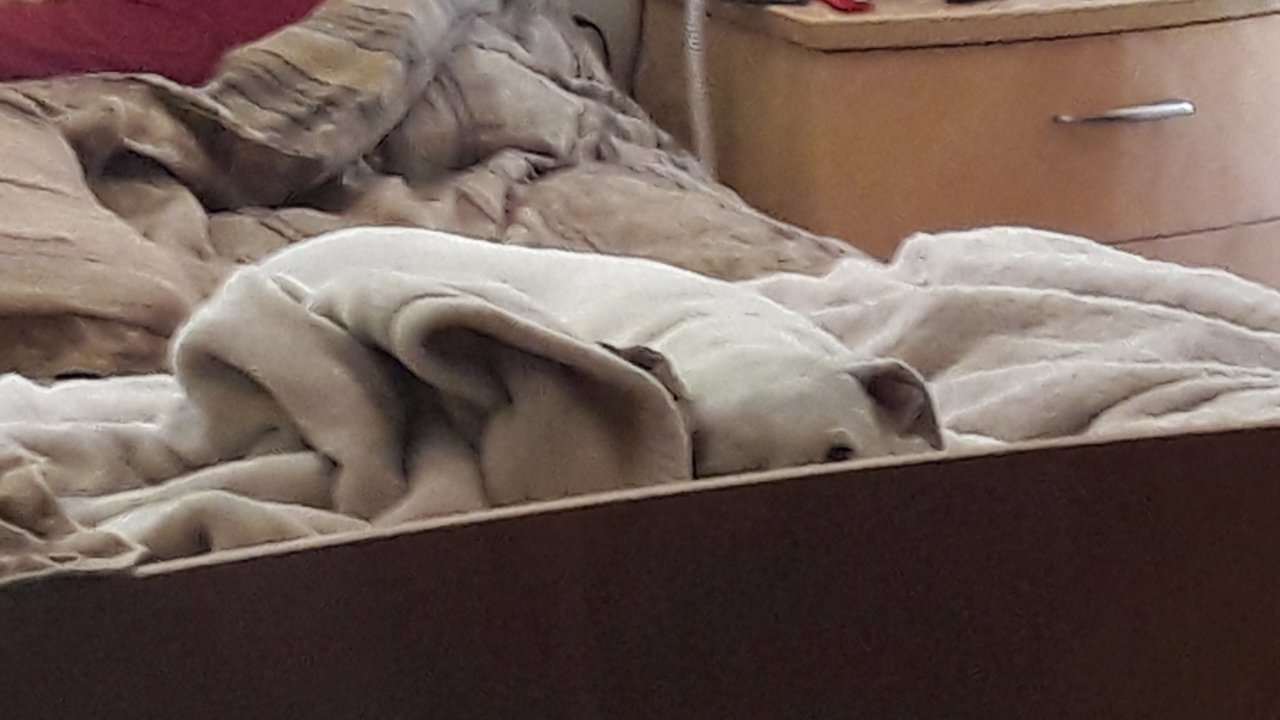 20191002_121128.jpg