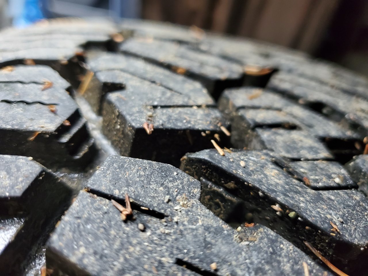 20191002_160527.jpg