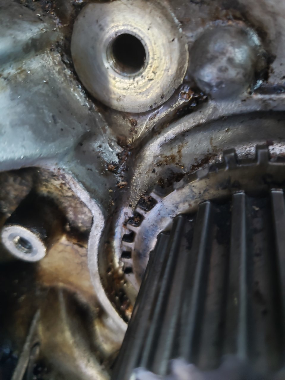20191002_173233.jpg