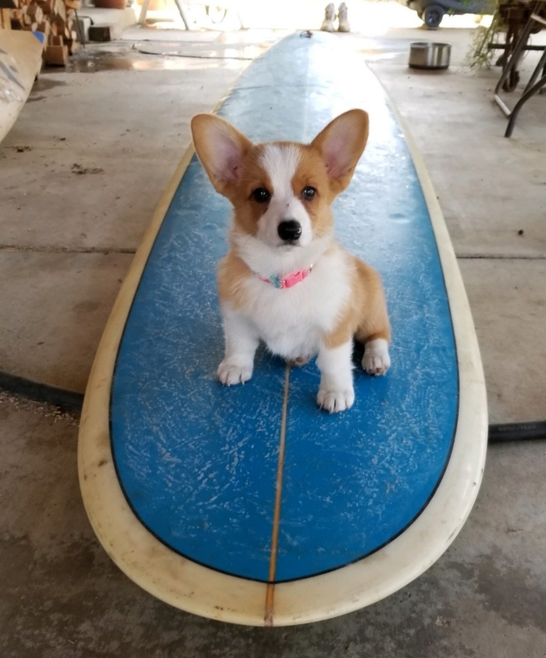20191003_064556.jpg