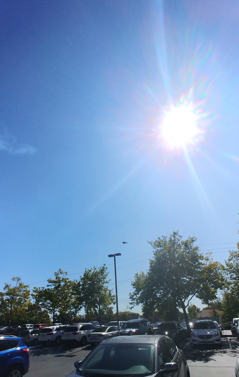 20191003_121415.jpg