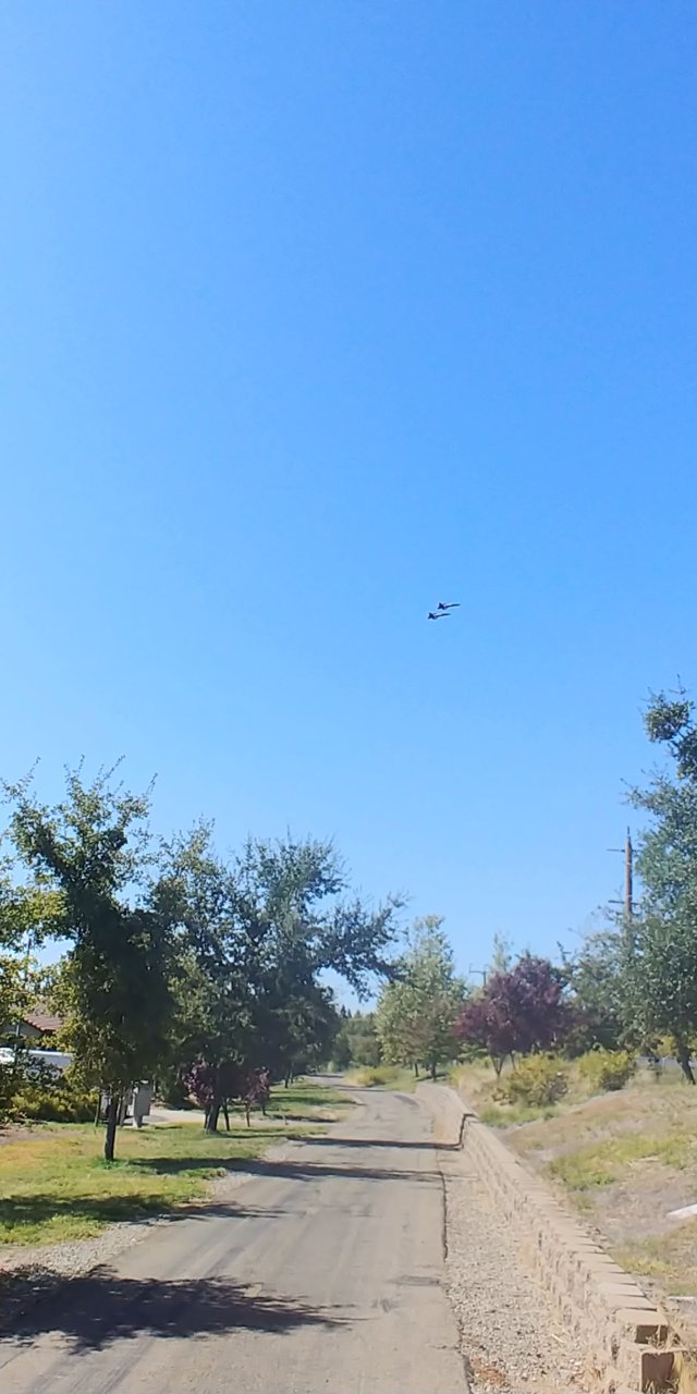 20191003_124349.jpg