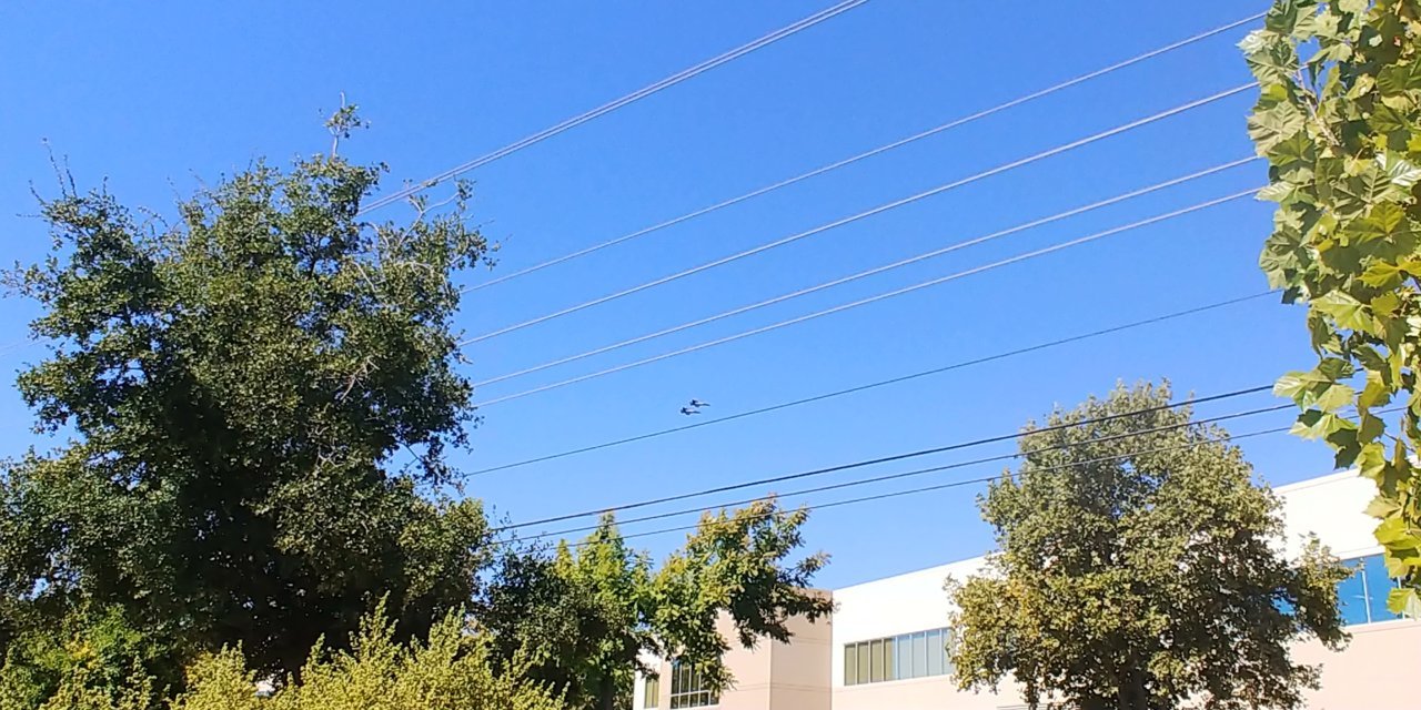 20191003_124355.jpg