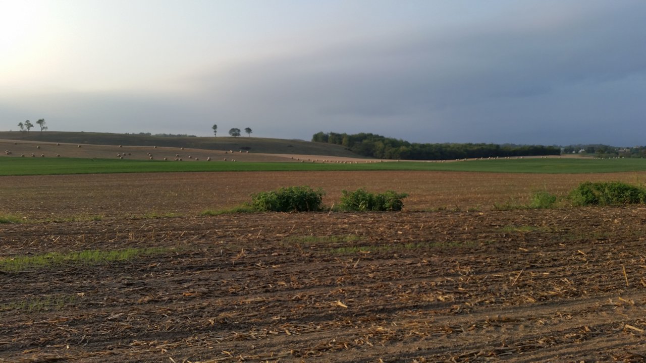 20191003_175502.jpg