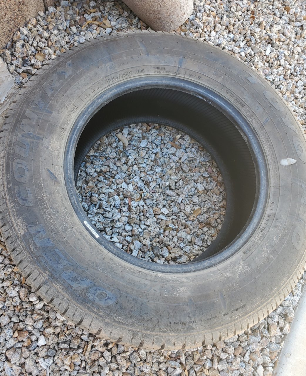 20191004_115244.jpg