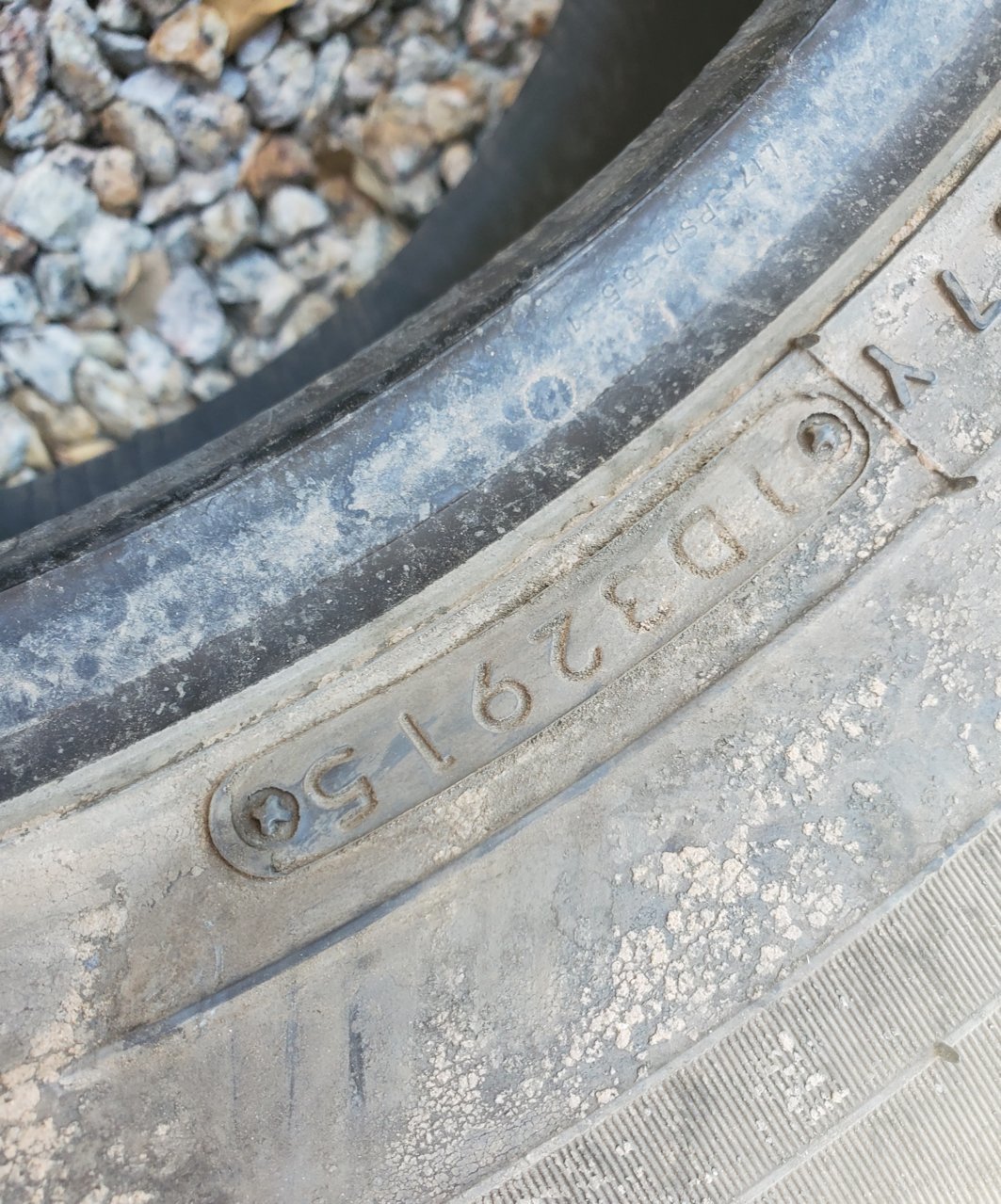 20191004_115257.jpg