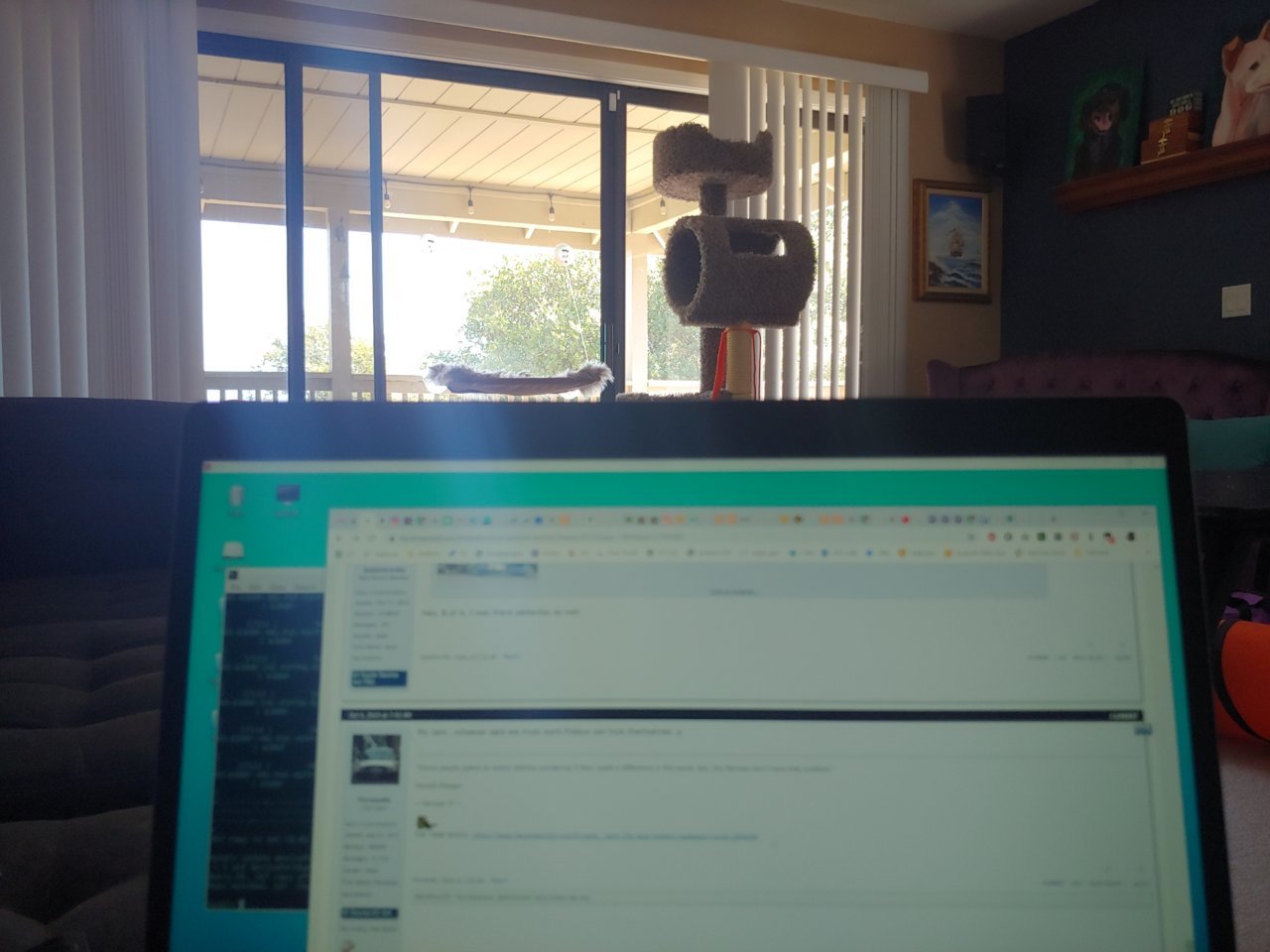 20191004_122327_HDR.jpg