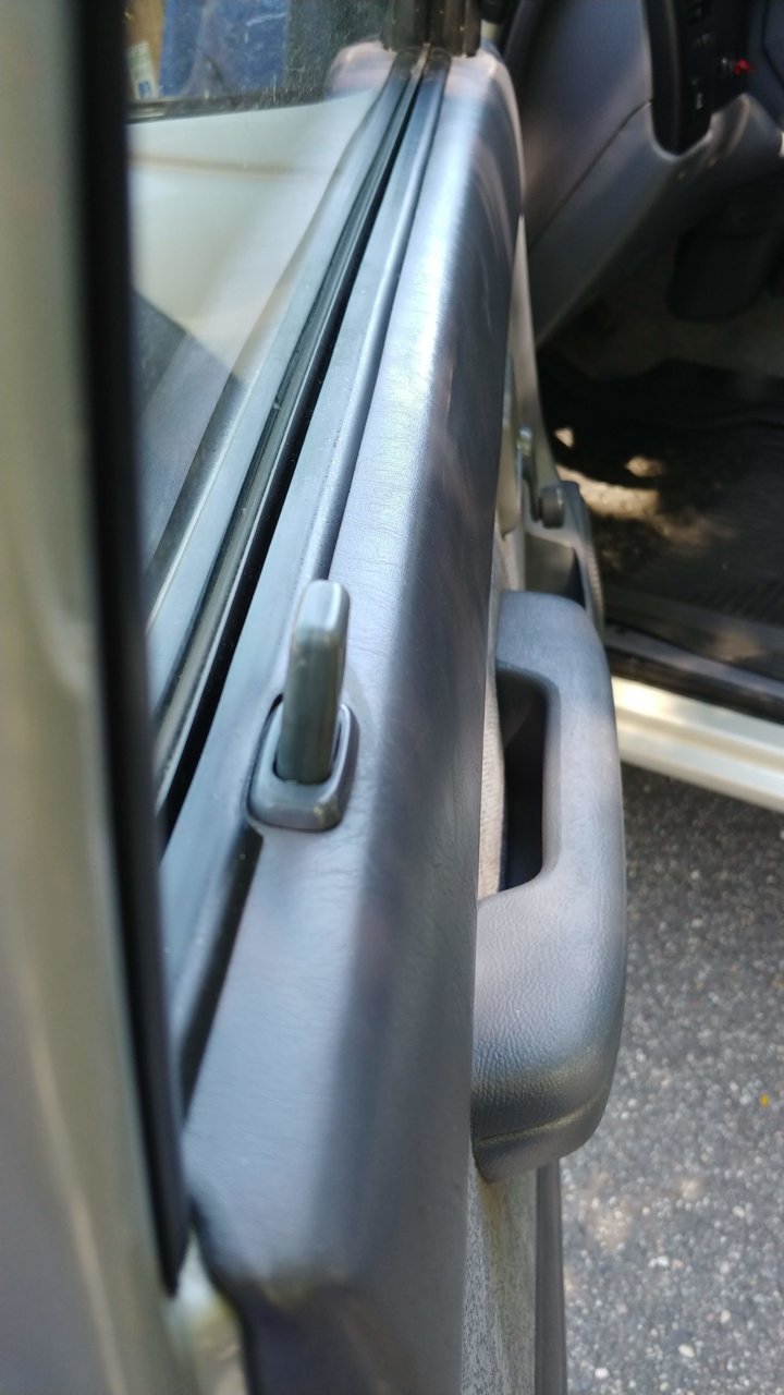 20191004_124028.jpg