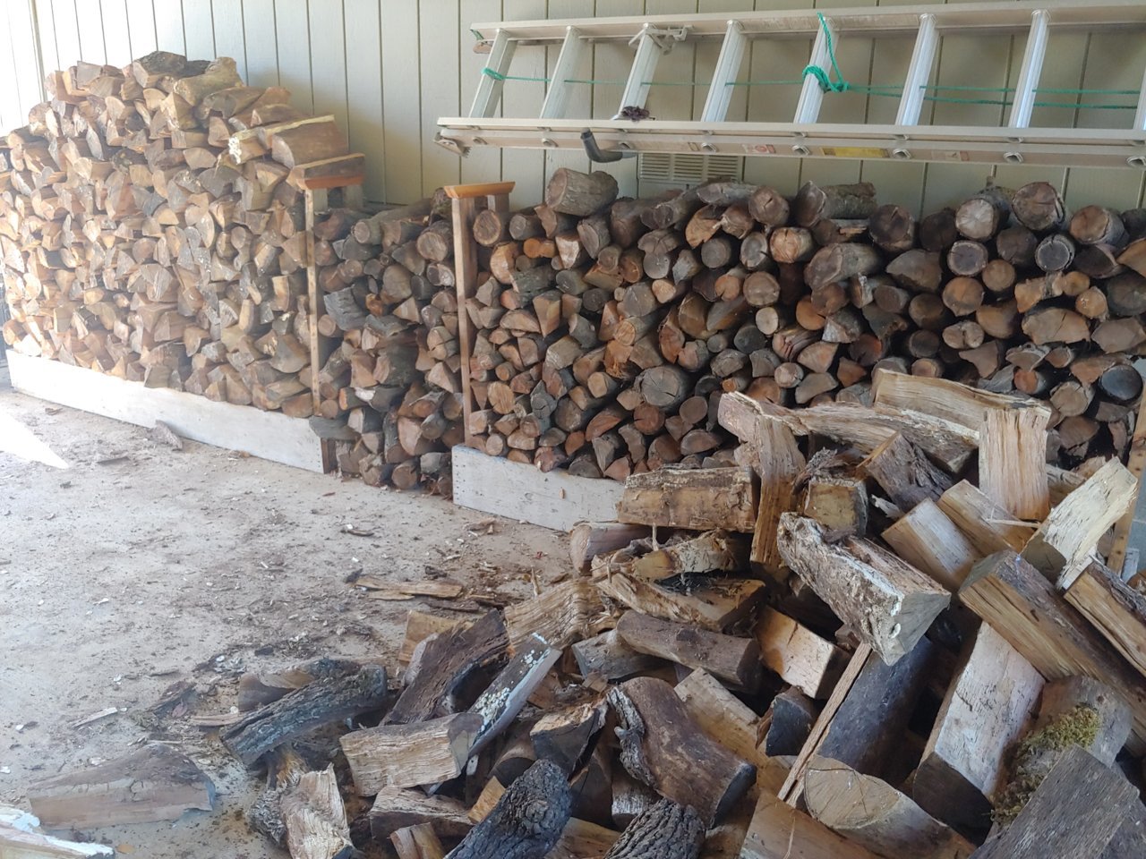 20191004_135300_HDR.jpg