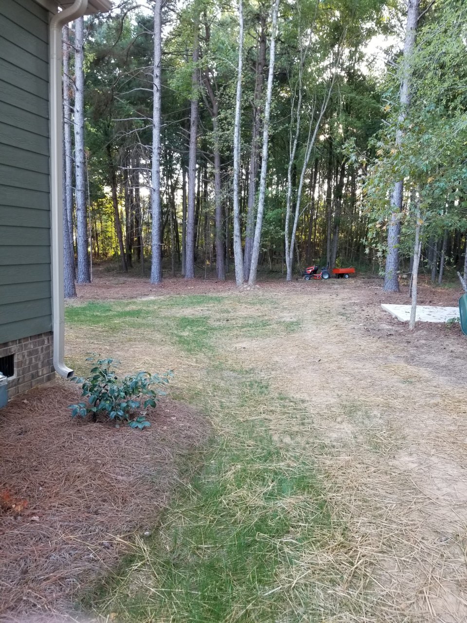 20191004_175459.jpg