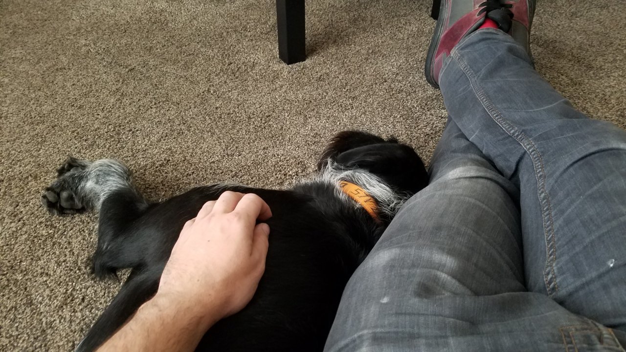 20191004_175933.jpg