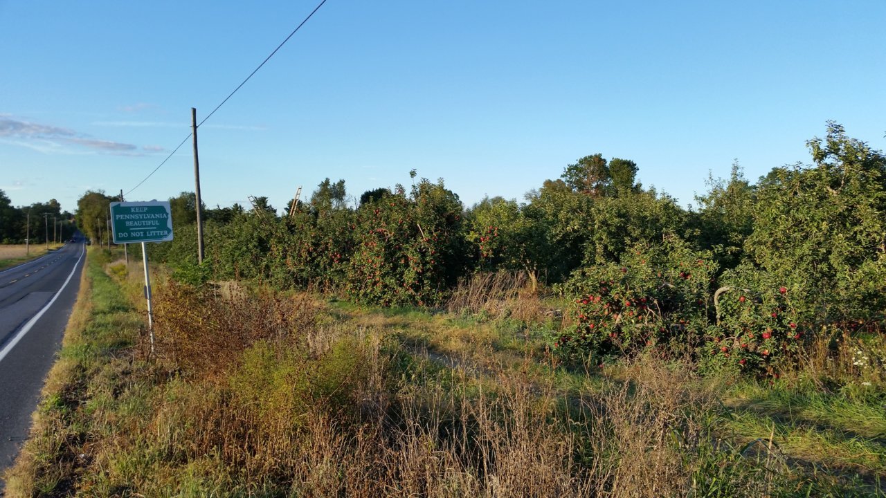 20191004_180042.jpg