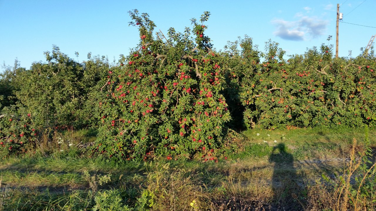 20191004_180045.jpg