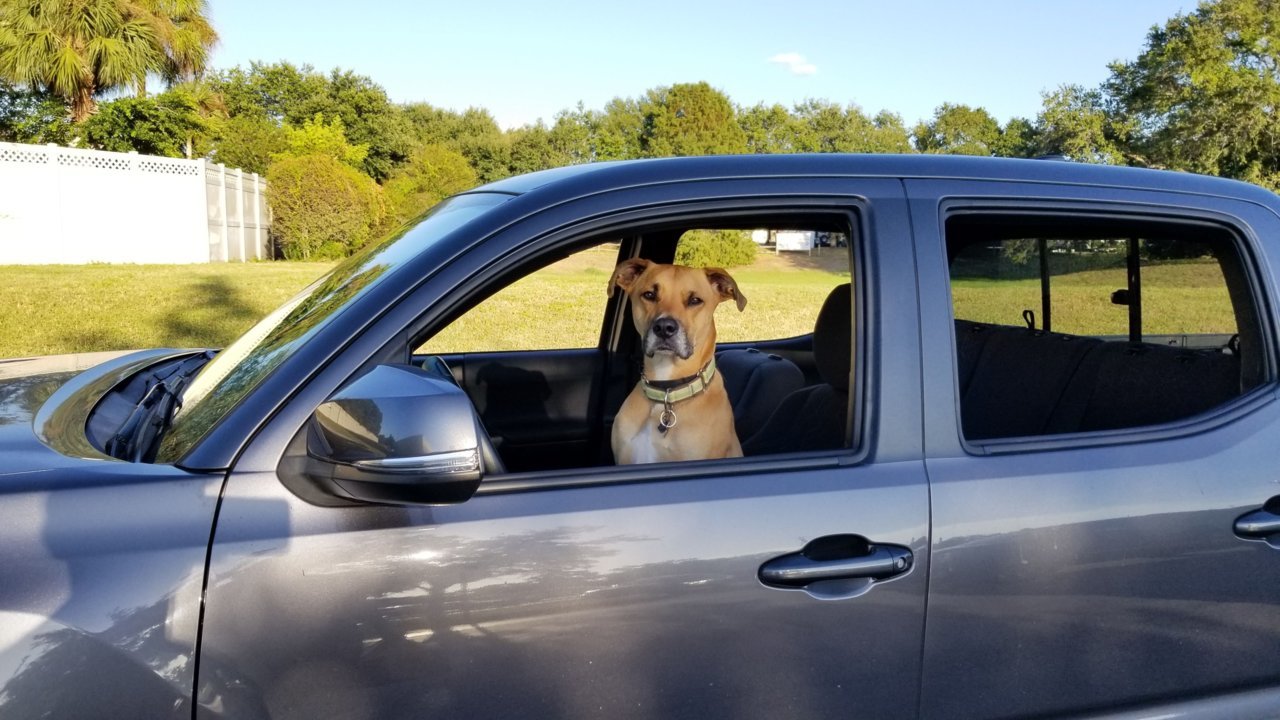 20191004_180318.jpg