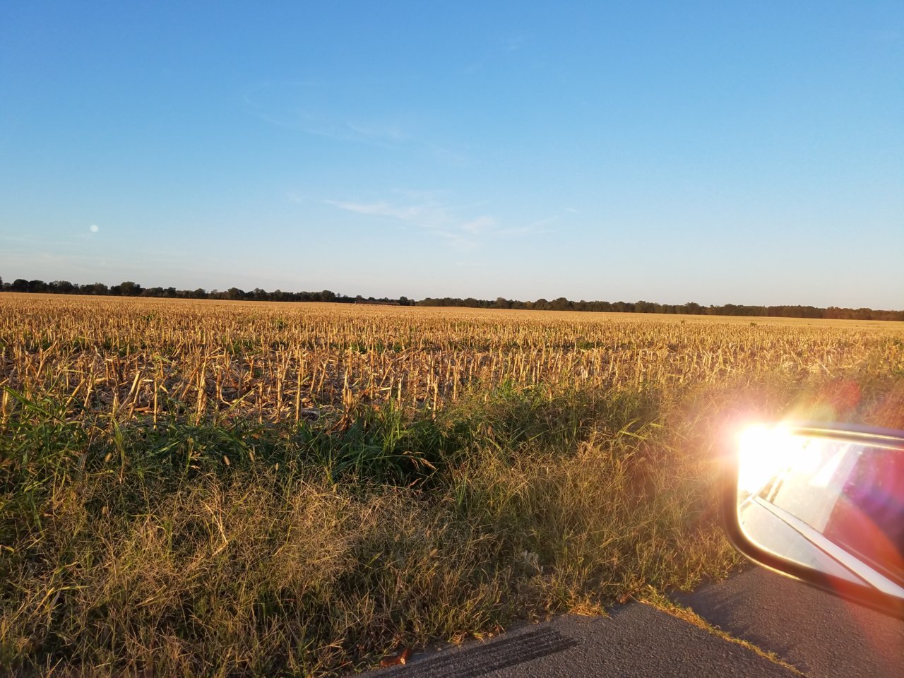 20191004_181135.jpg