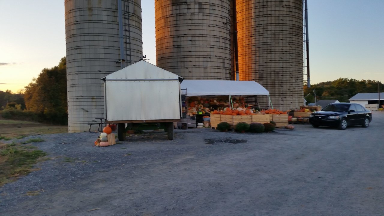 20191004_183422.jpg