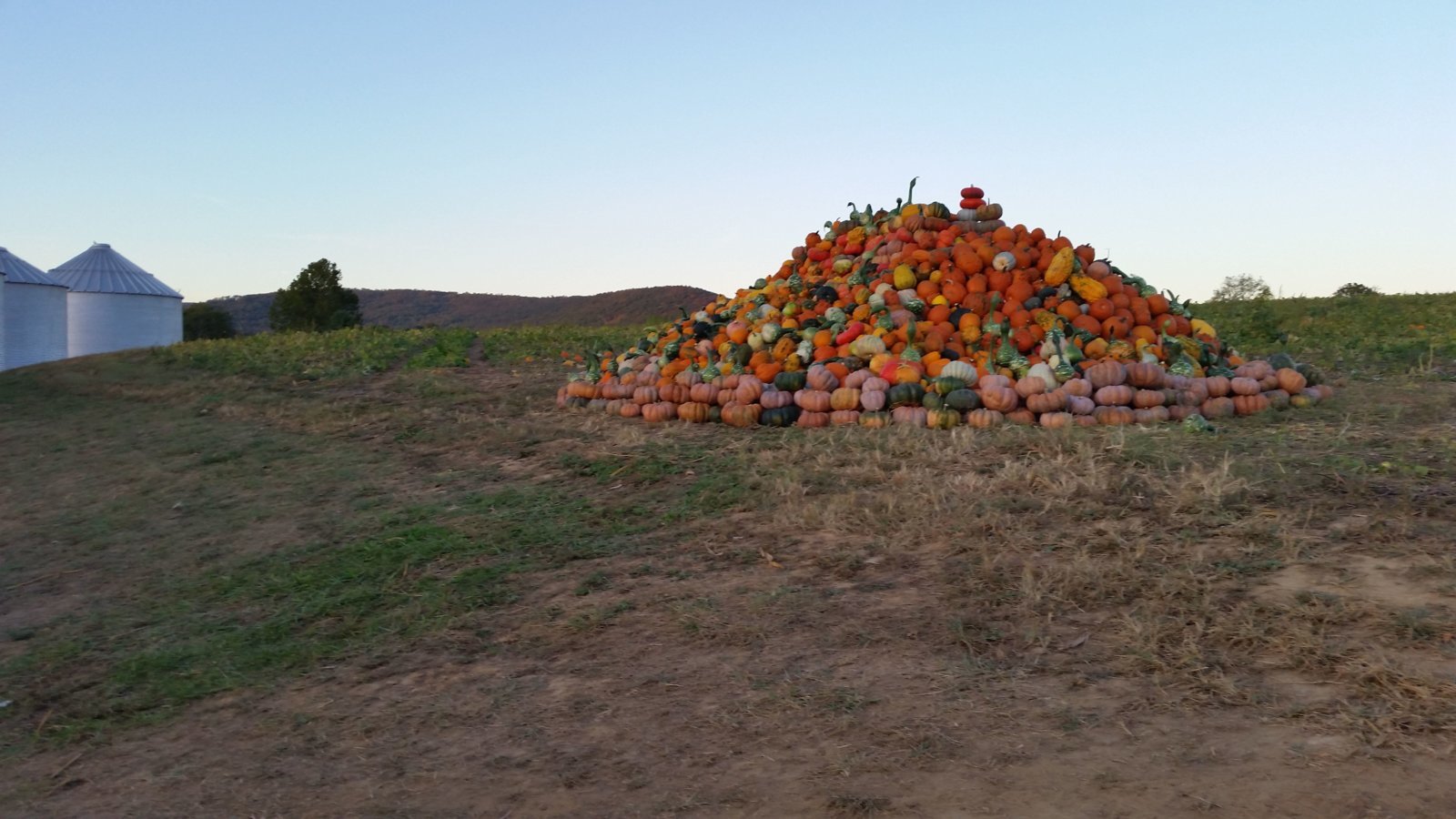 20191004_183526.jpg