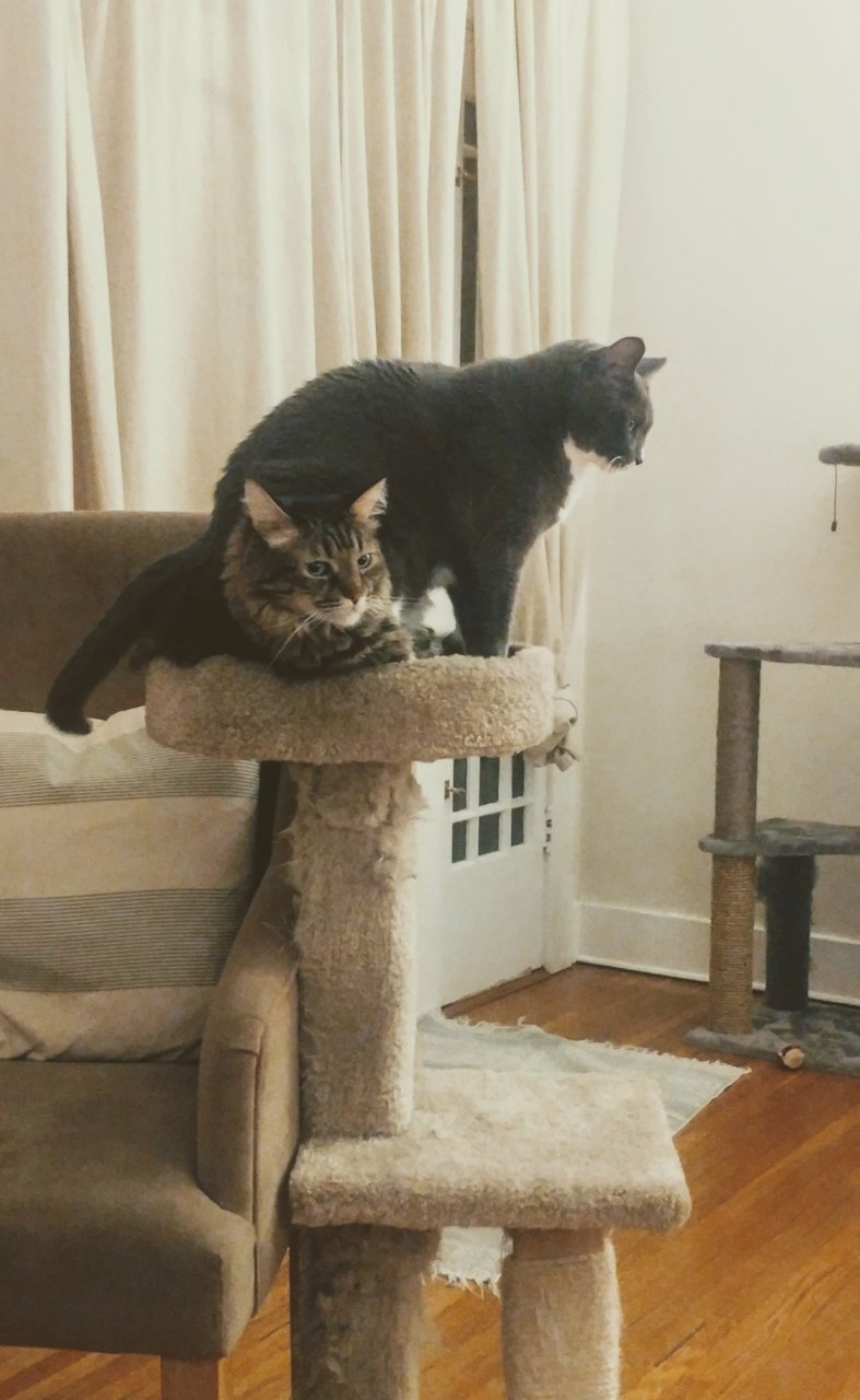 20191004_193202~2.jpg