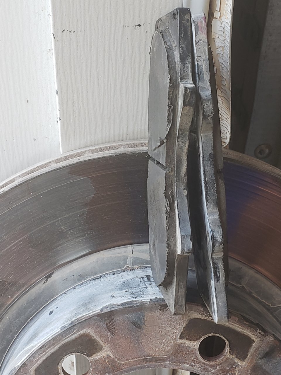 20191005_095737.jpg