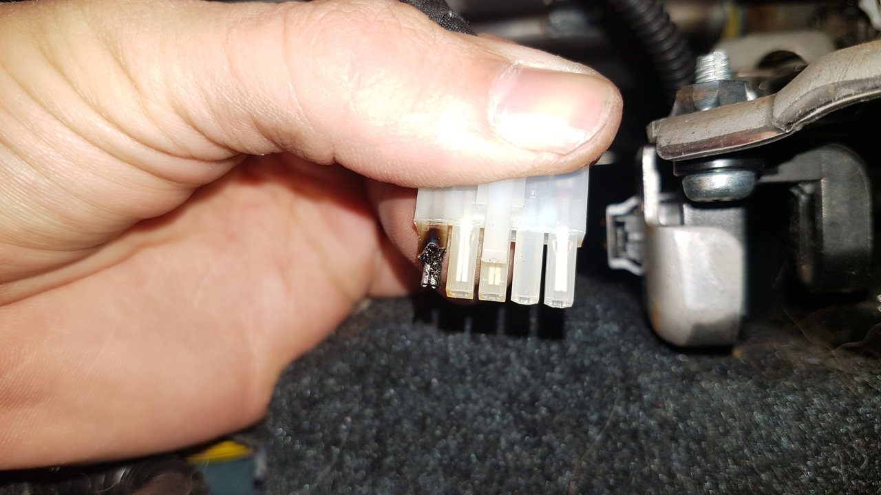 20191005_114142.jpg