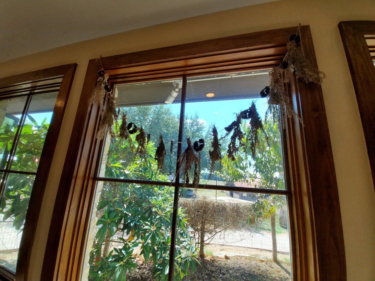 20191005_124002.jpg