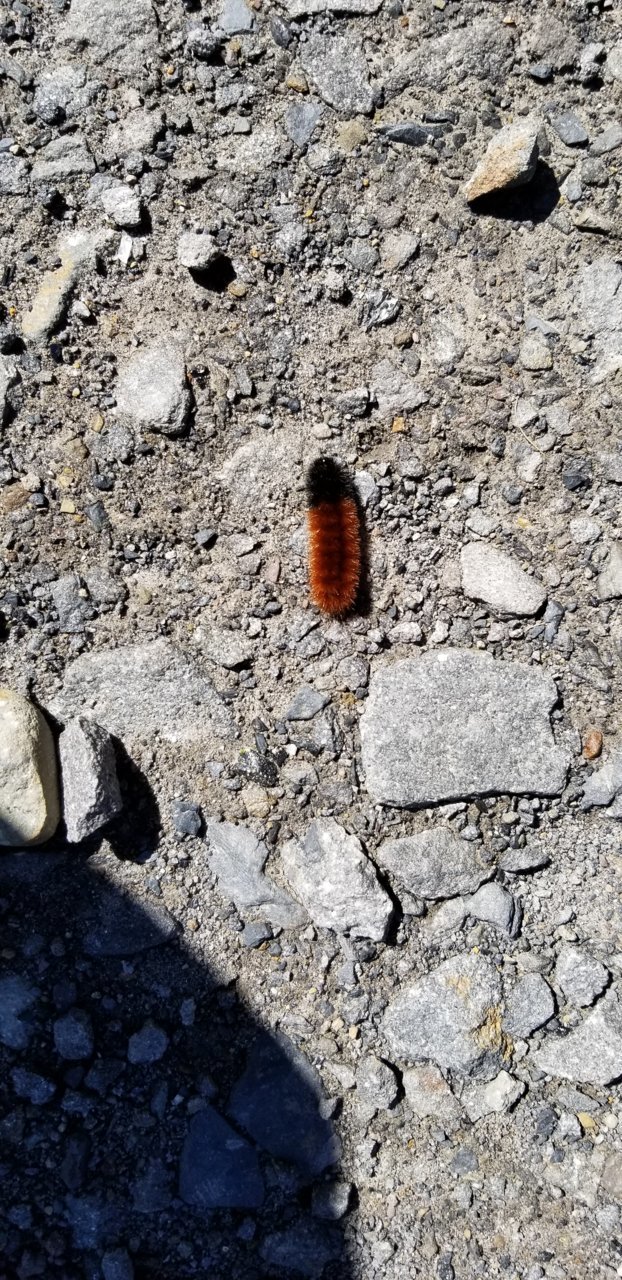 20191005_130725.jpg