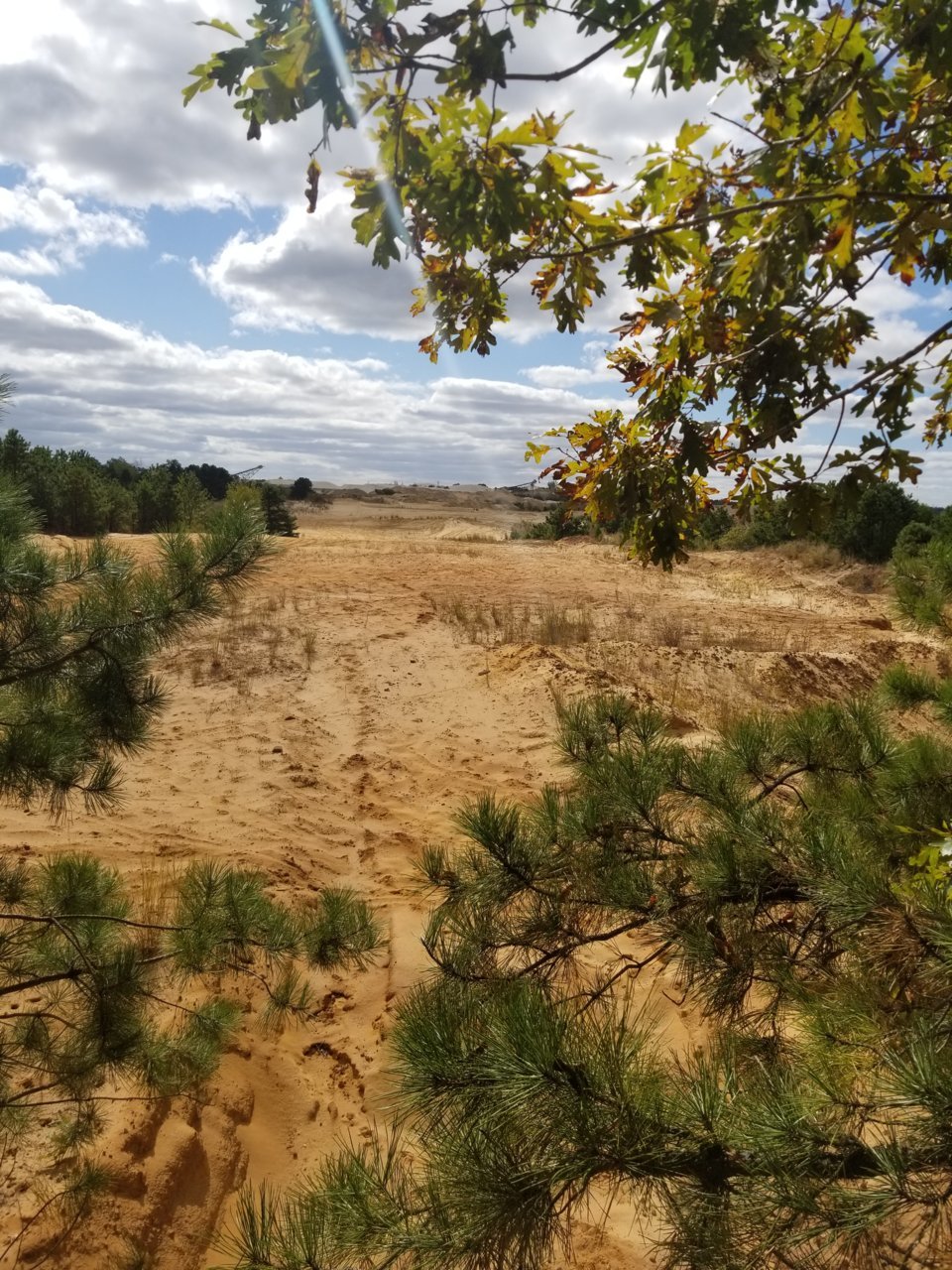 20191005_132537.jpg