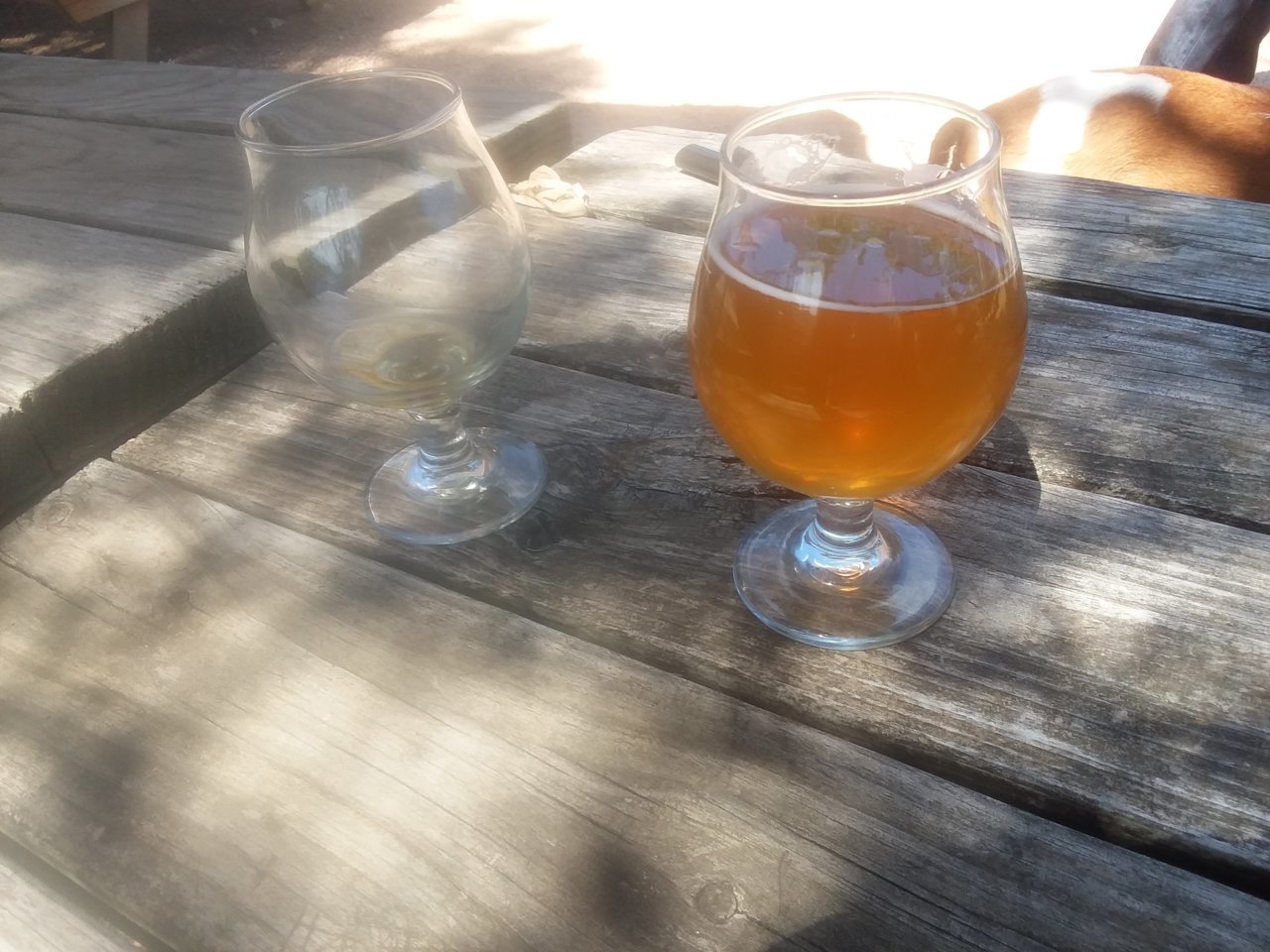 20191005_132744.jpg