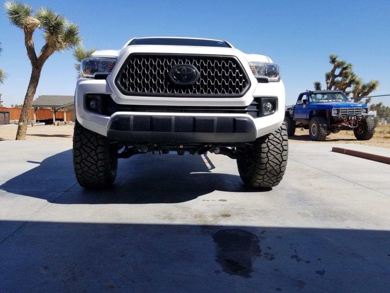 20191005_134609.jpg