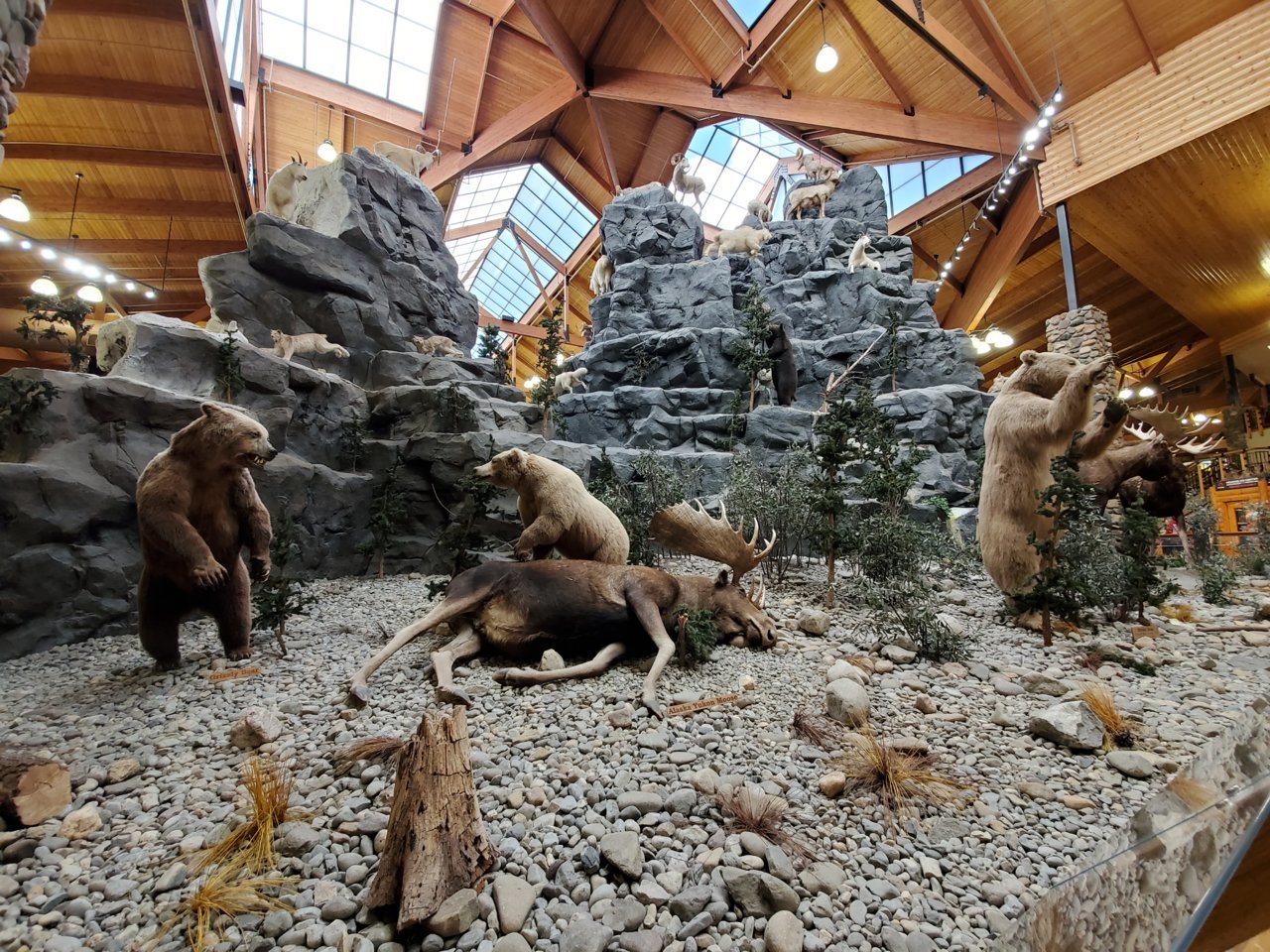 20191005_153944.jpg
