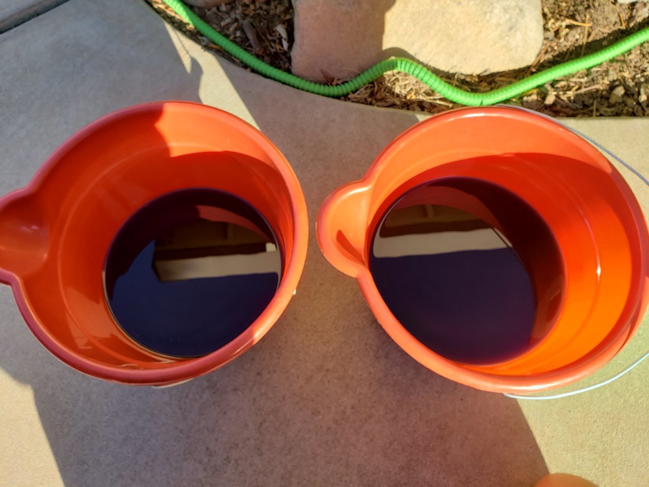 20191005_165804.jpg