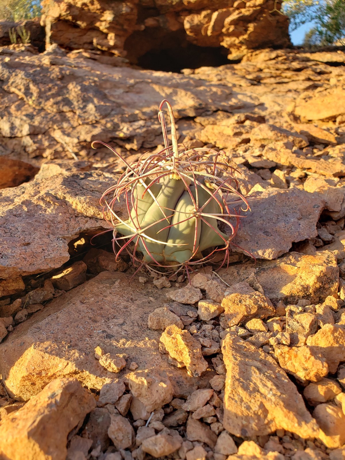 20191006_065758.jpg