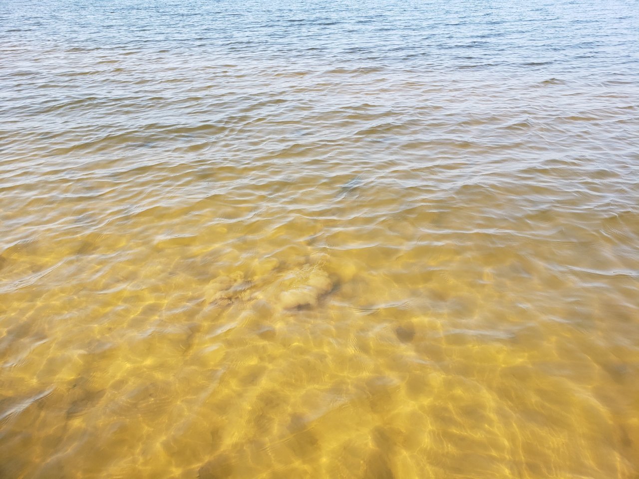 20191006_103511.jpg