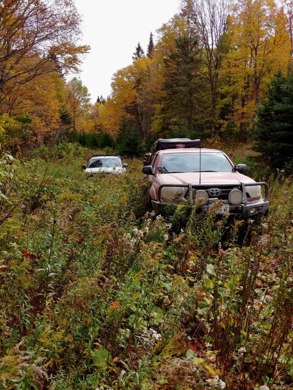 20191006_113430_HDR [2].jpg