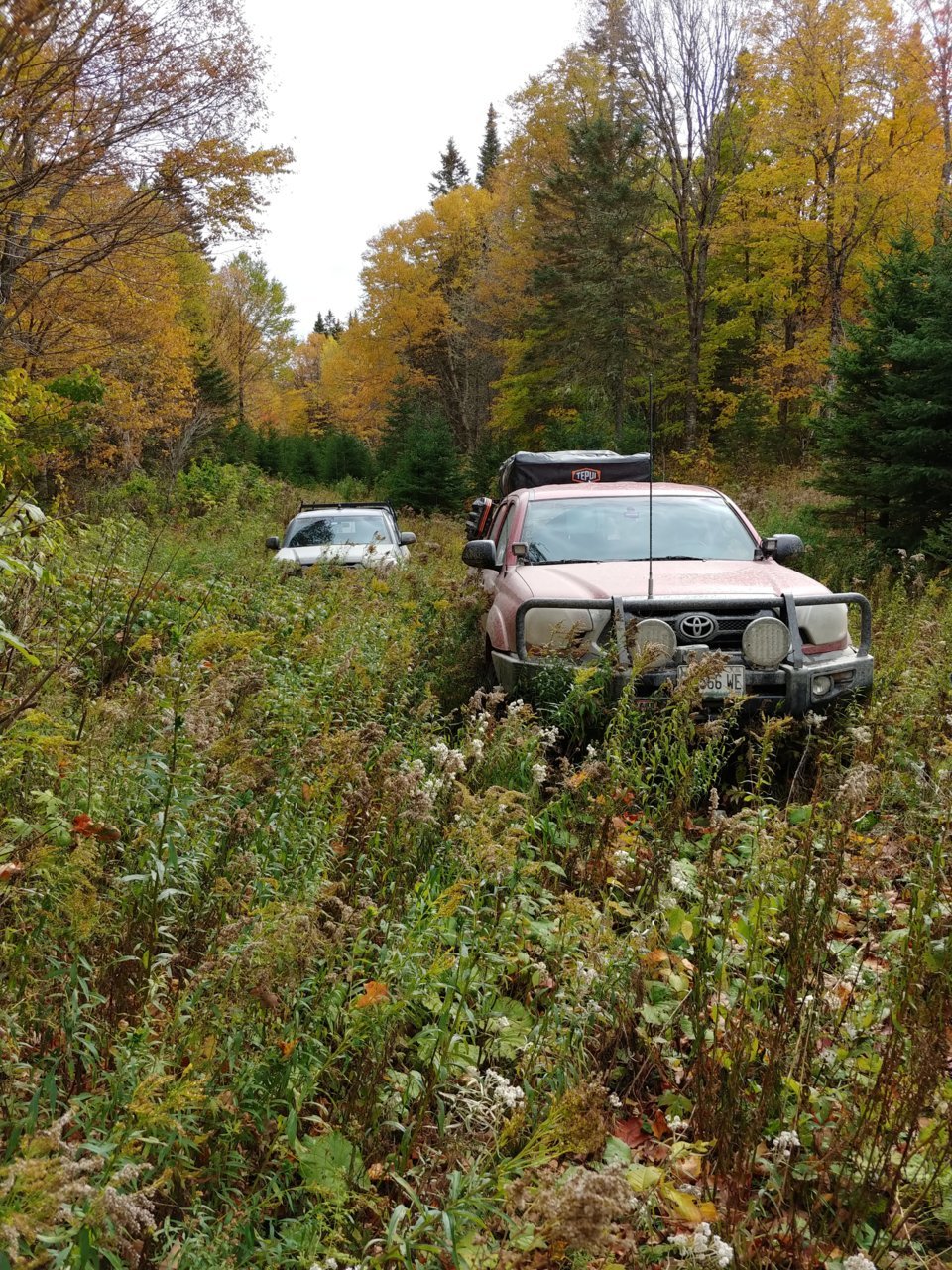 20191006_113430_HDR.jpg