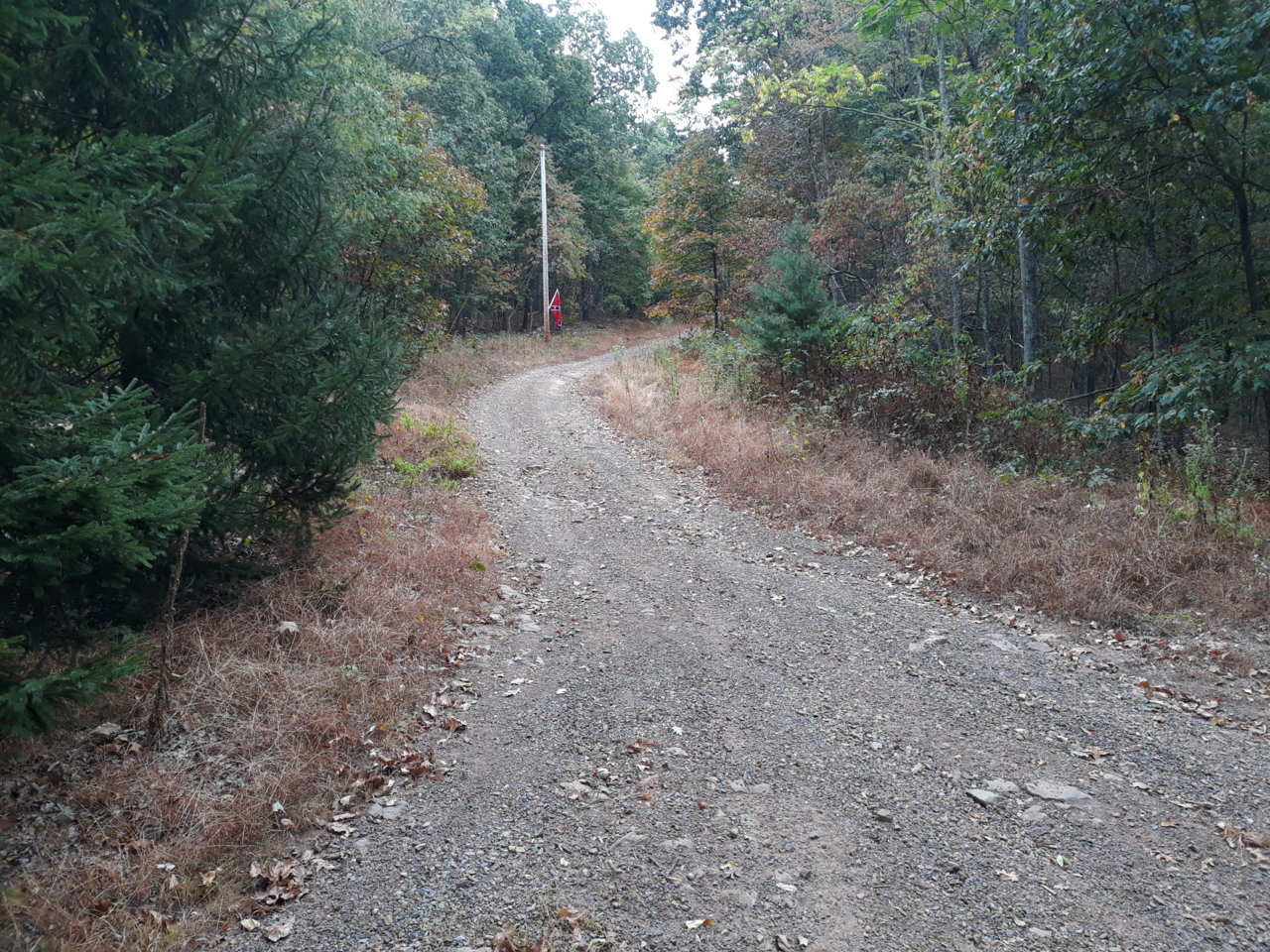 20191006_121526.jpg