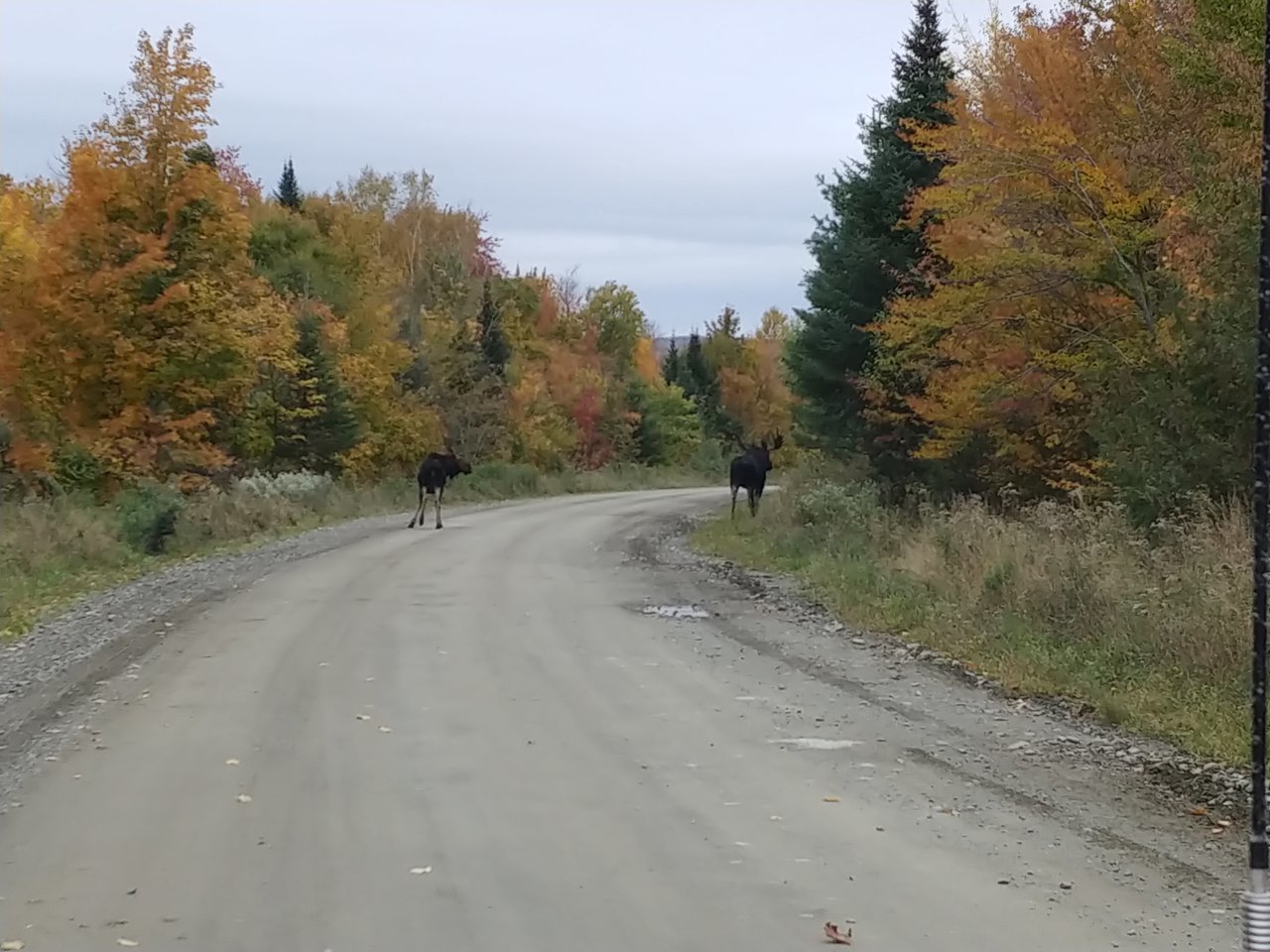 20191006_145442.jpg