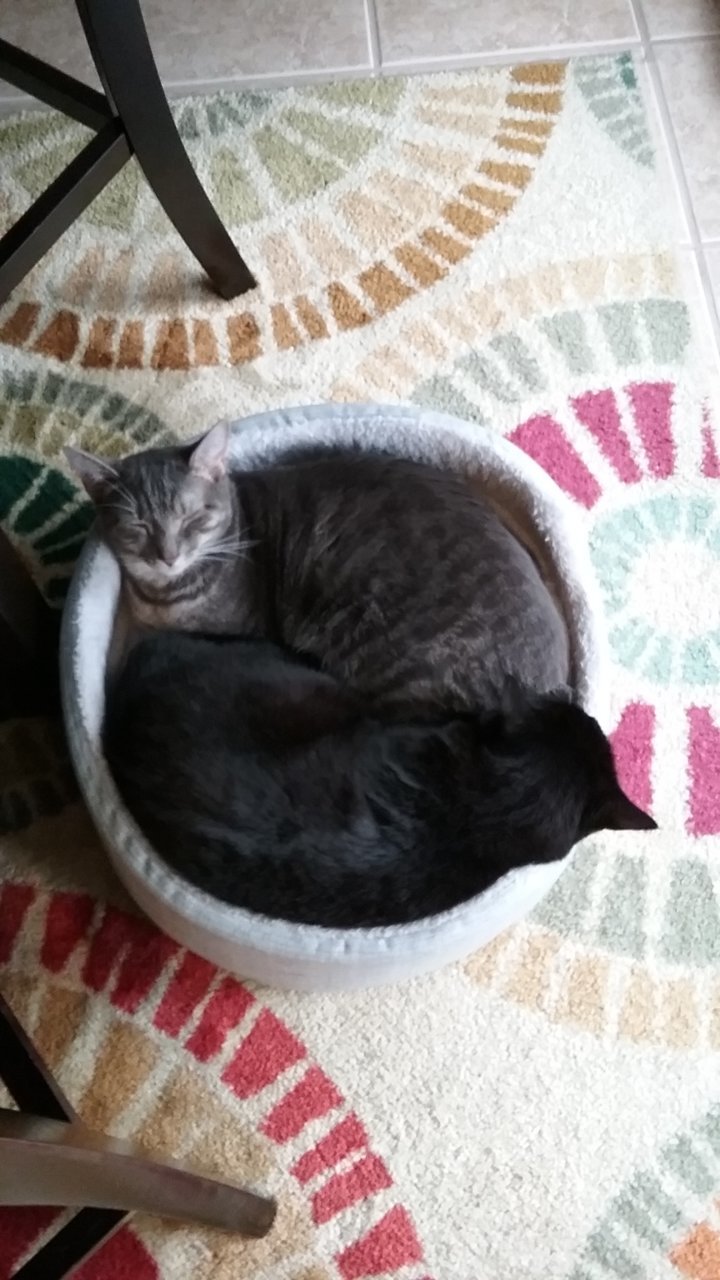20191006_171108.jpg