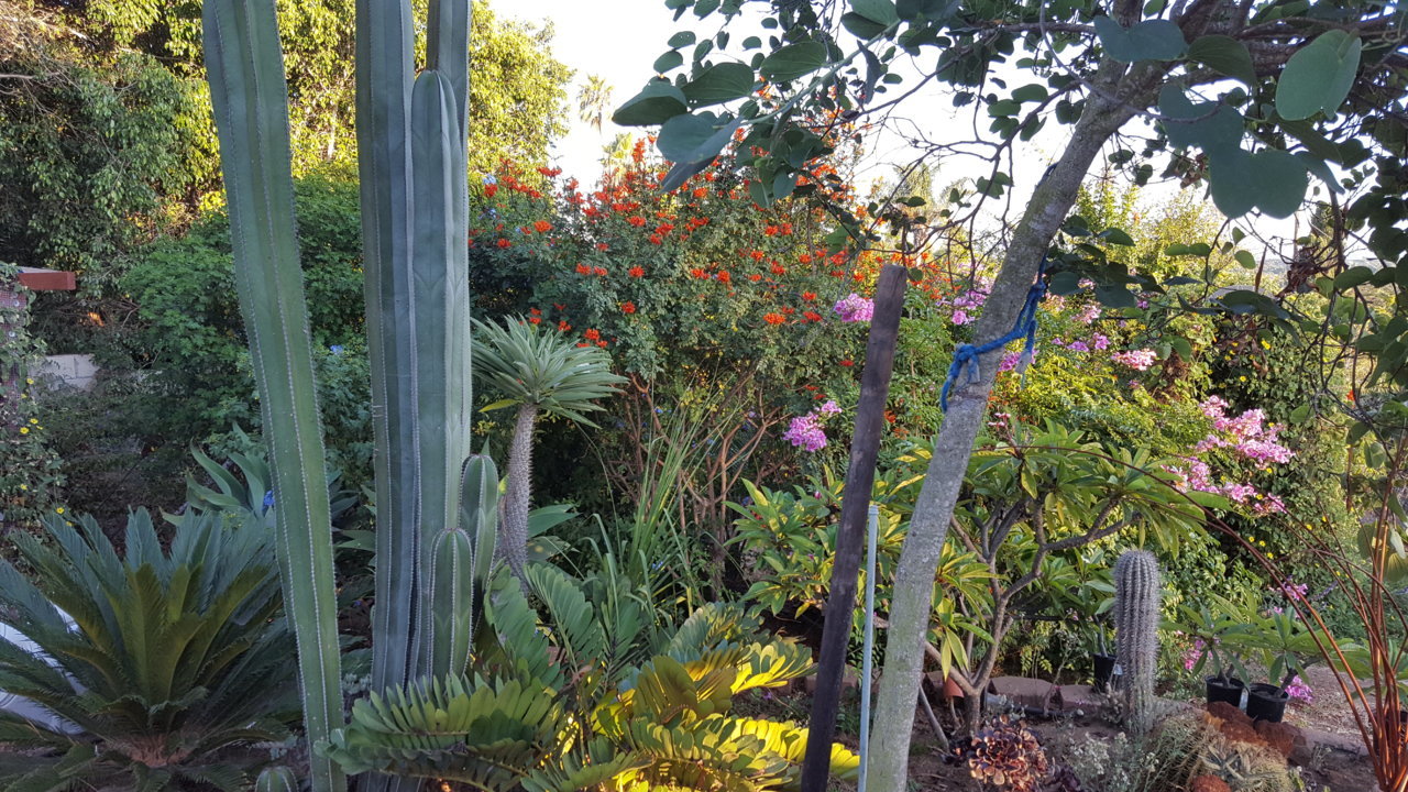 20191006_174942.jpg