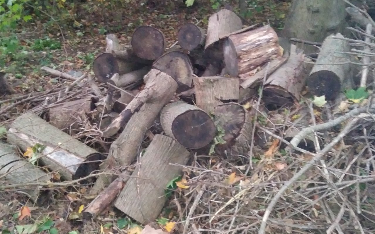20191006_181505.jpg