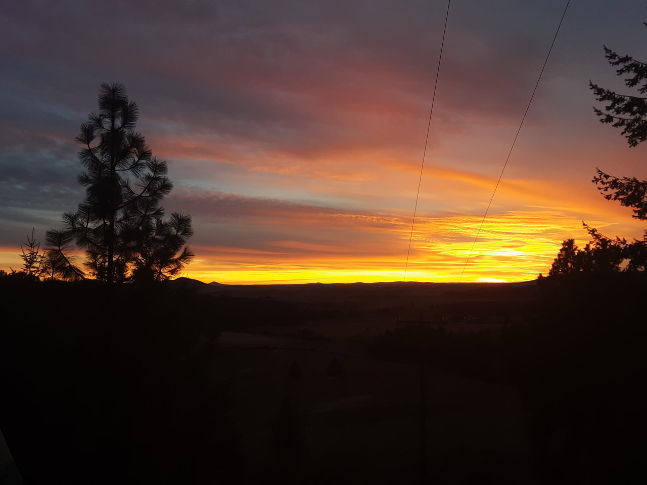 20191006_182746.jpg