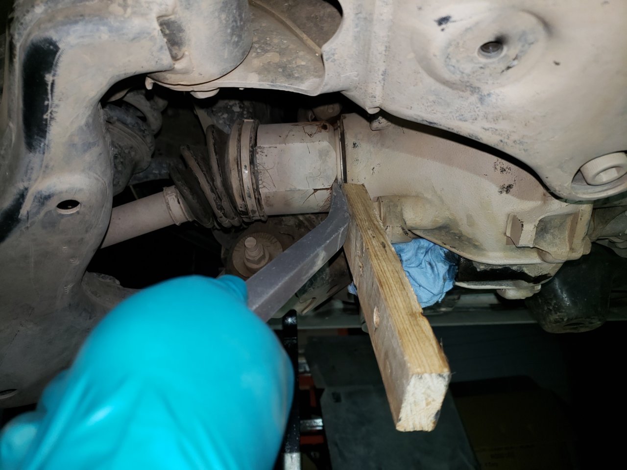20191006_224641.jpg