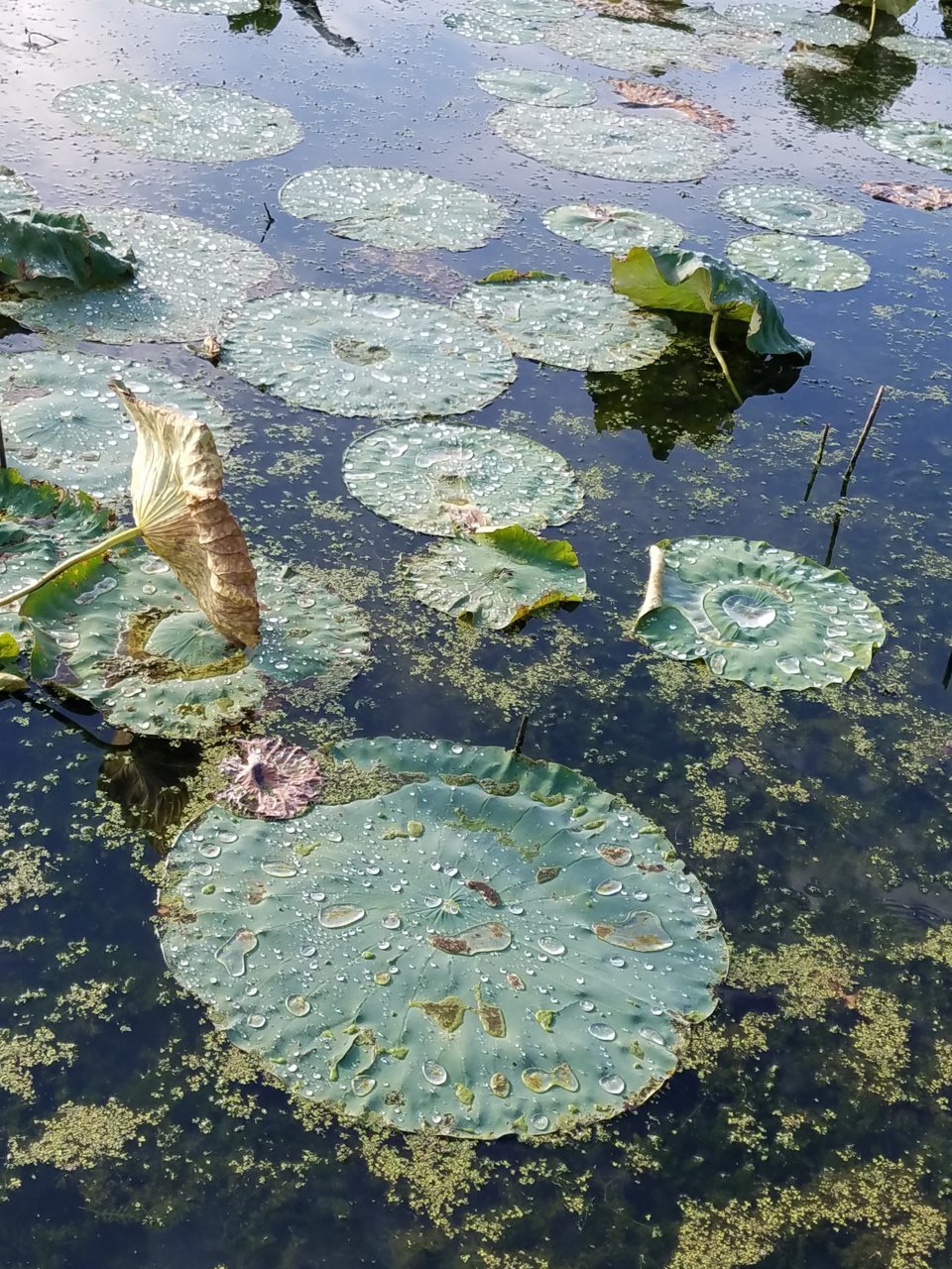 20191007_085118.jpg