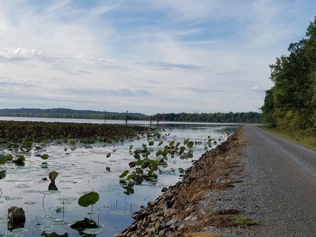 20191007_085147.jpg